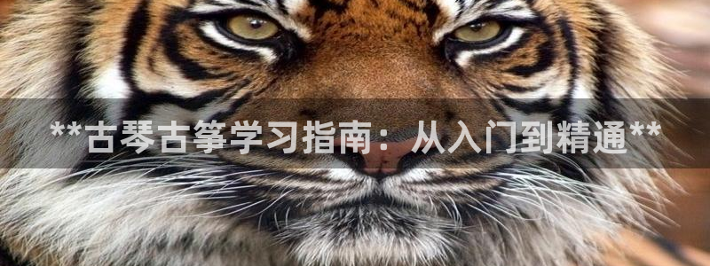 凯发k8官网do选来就送38