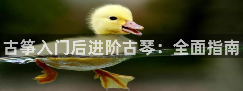 凯发k8娱乐是真实的吗