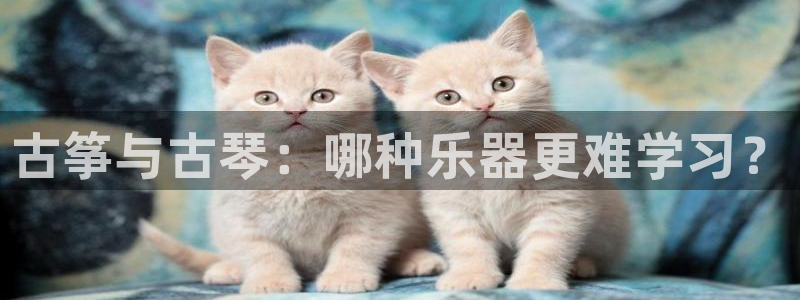 凯发官方网站下载