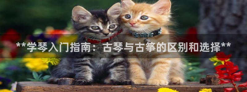 凯发k8娱乐品牌导航