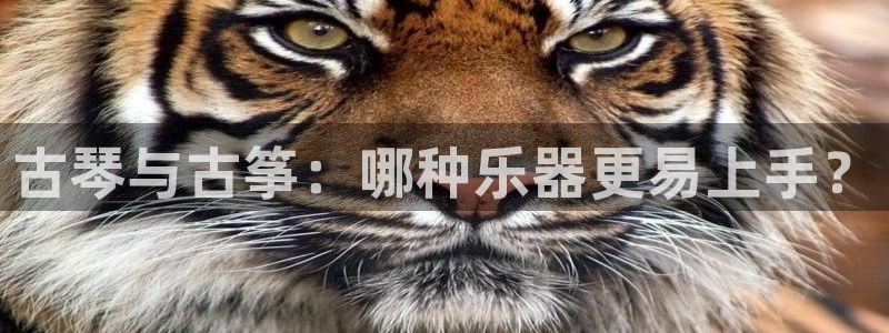凯发平台网址