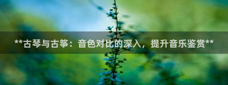 凯发官方网站是多少