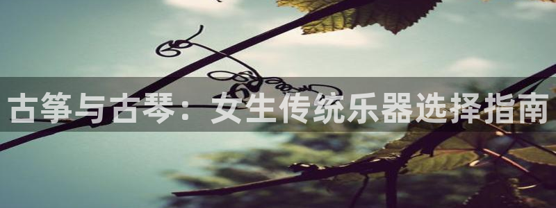 凯发国际真人