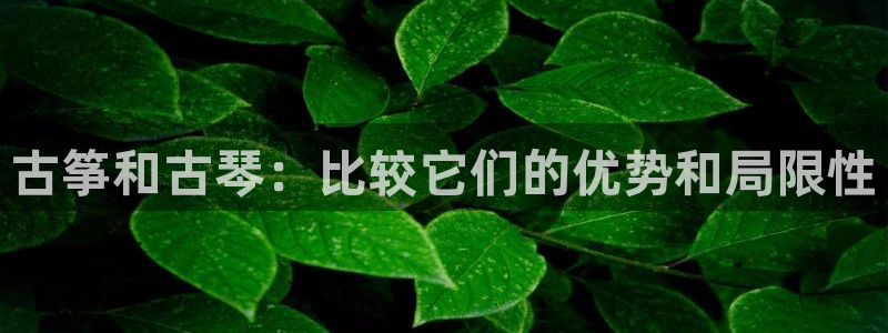 凯发娱网址是什么