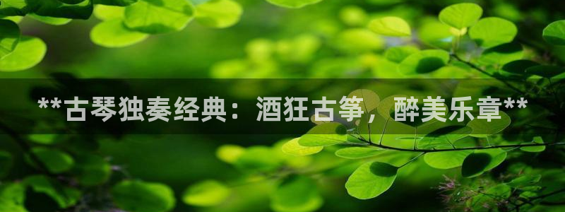 凯发网娱乐官网国际