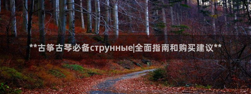 凯发k8娱乐官网入