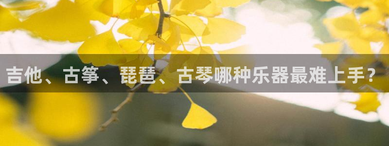 凯发国际是什么