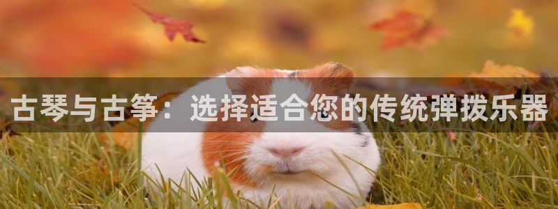 凯发k8国际手机网页