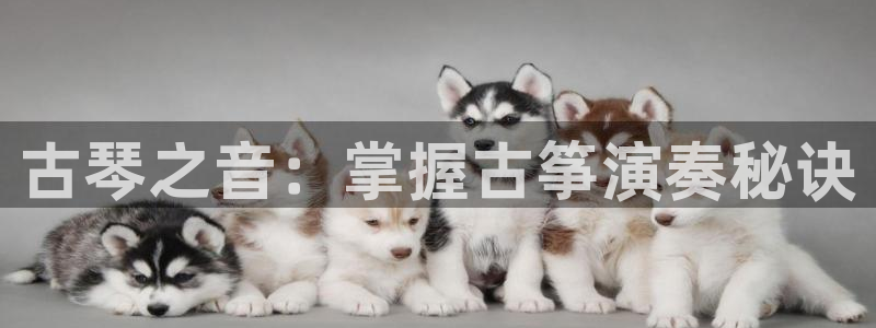 凯发平台开户
