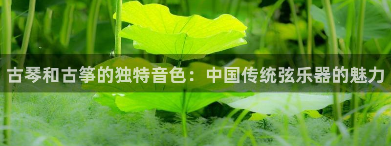凯发app可信吗