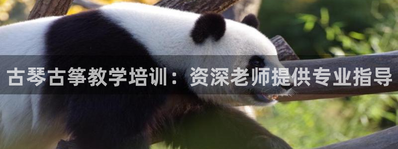 凯发手机官网客户端