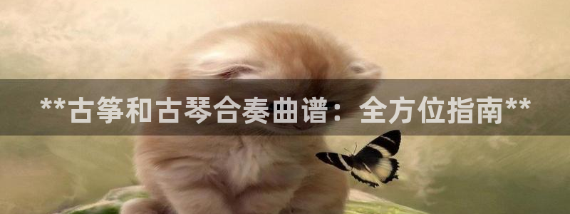 凯发国际网络平台网址
