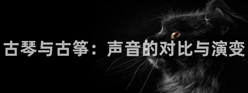 凯发官网入口首页