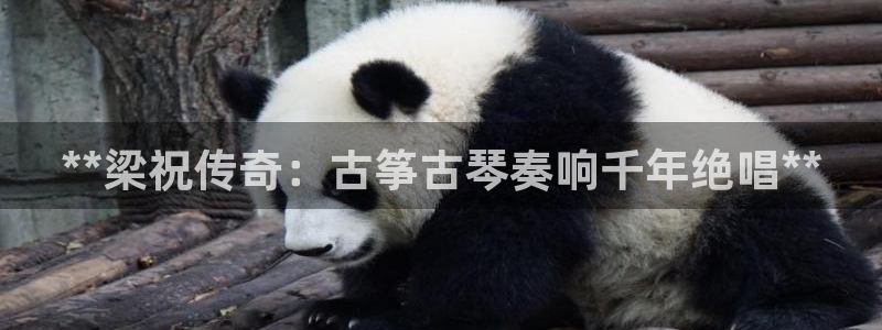 凯发在线平台官方网站