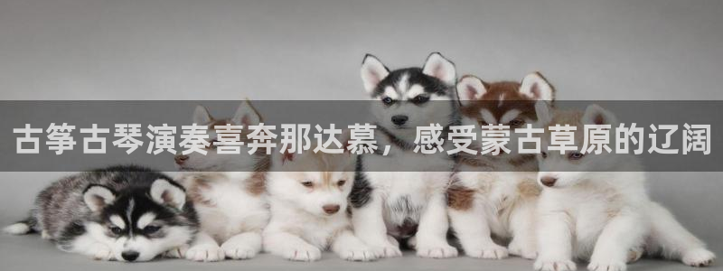 凯发平台轻7O777