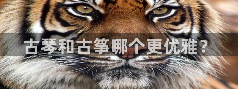 凯发k8旗舰厅app下载i来就送38元