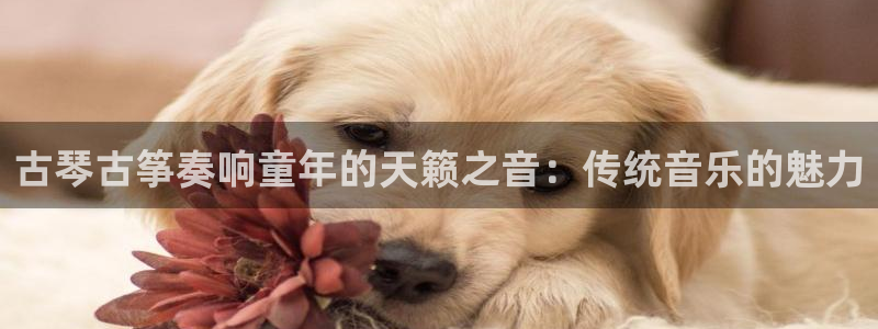 凯发官网登录免费下载