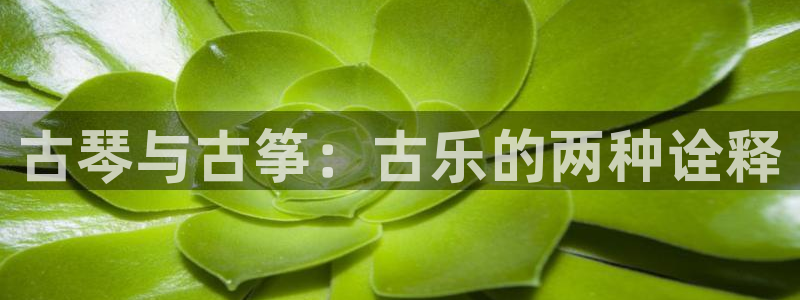 凯发k8555|手机版