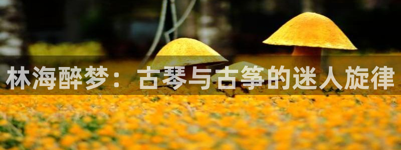 凯发国际网址官网