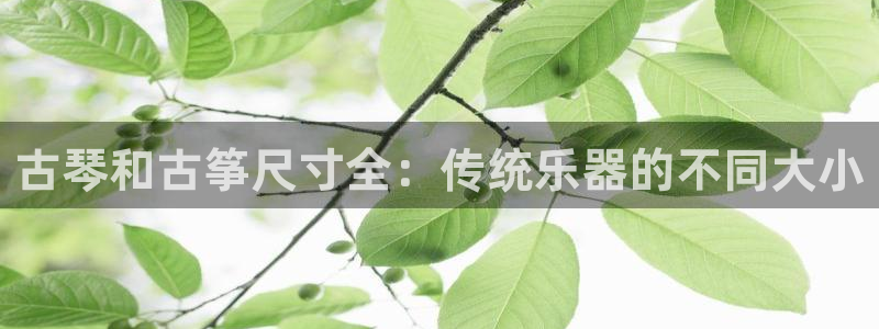 凯发k8娱乐官网入