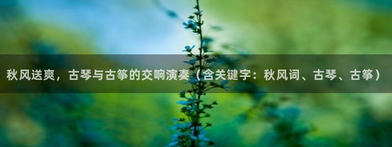 凯发k8官方网娱乐官方真
