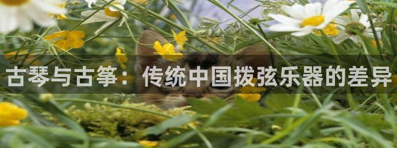凯发旗舰客户端
