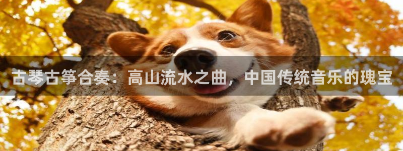 凯发官网网址多少