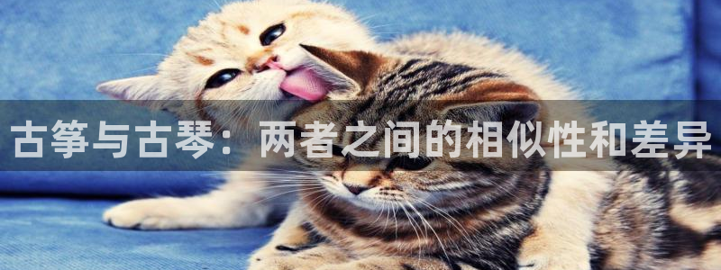 凯发k8官网do选来就送38