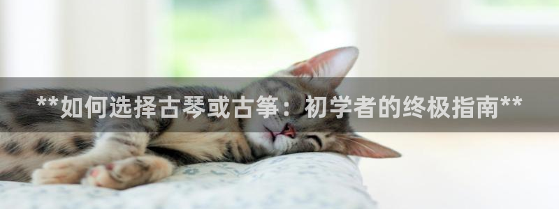 凯发旗舰客户端