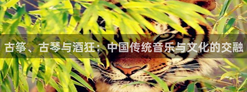 凯发国际真人