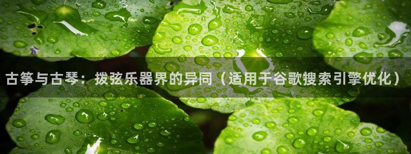 凯发k8娱乐平台能提现吗