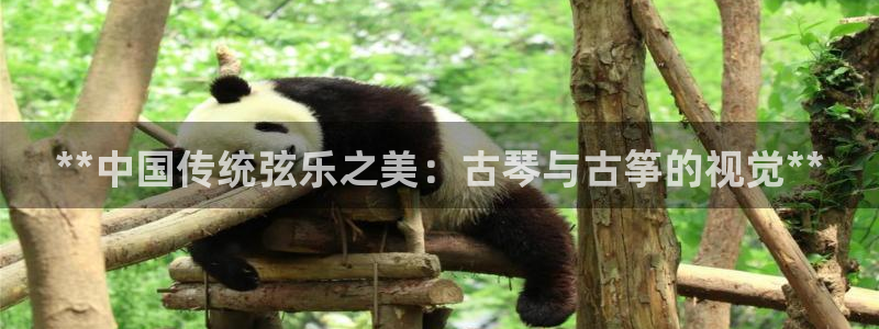 凯发k8娱乐官网旗舰厅