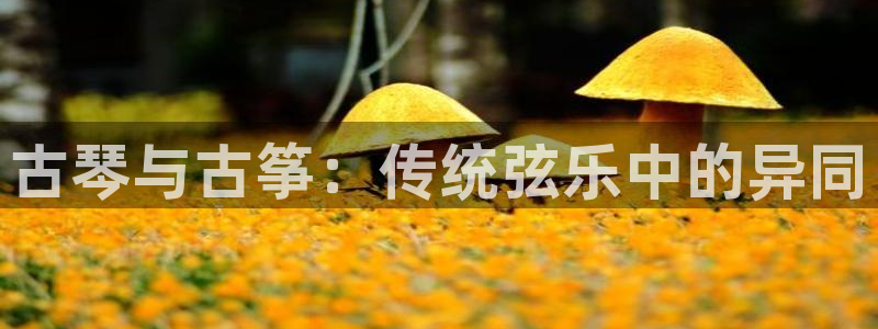 凯发k8国际 不能提款了