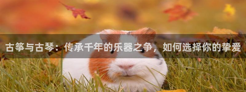 凯发国际怎么赚钱