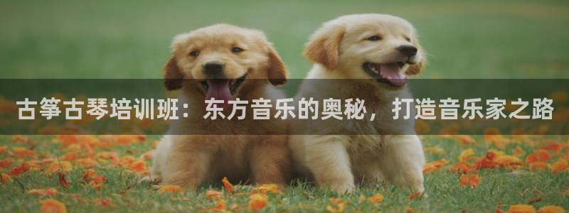 凯发官网入口首页