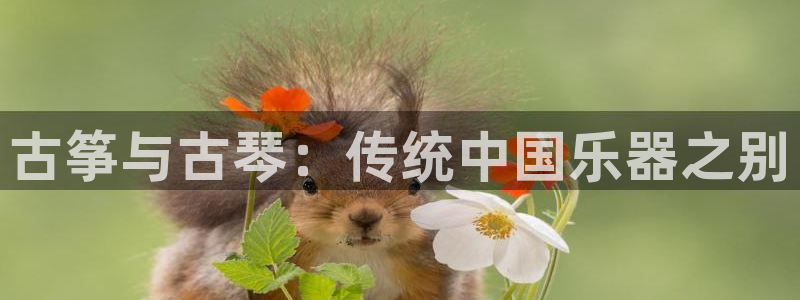 凯发k8手机网页