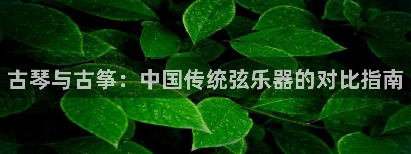 凯发k8官网下载客户端中心
