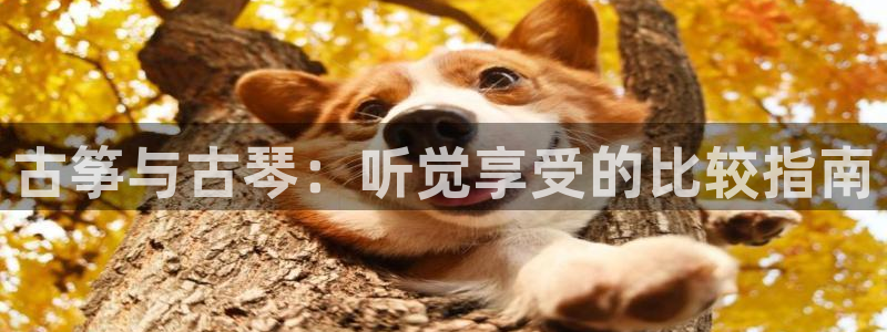 凯发是正规平台吗