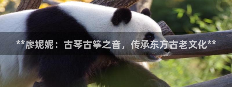 凯发k8官方网娱乐官方真
