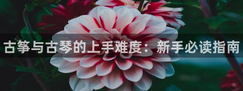 凯发k8官方网娱乐官方