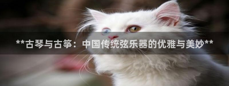 凯发k8娱乐要访问kf6819