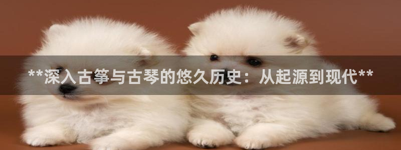 凯发官网手机app