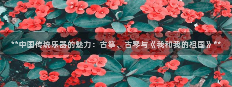 凯发app是干嘛的