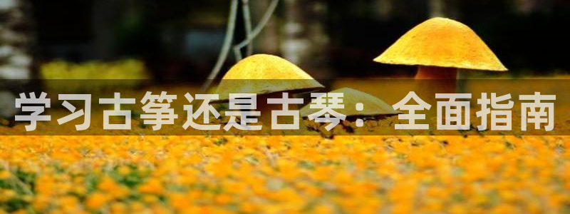 凯发k8娱乐手机版官网