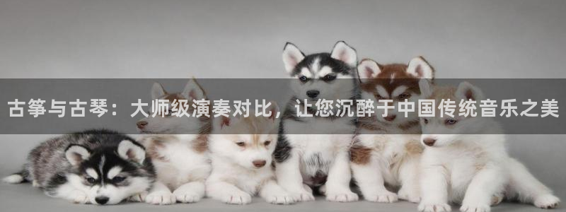 凯发网官网
