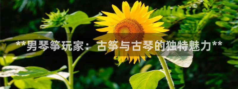 凯发国际网址官网