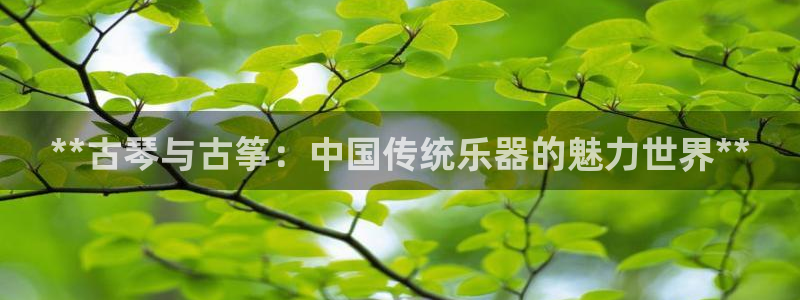 凯发平台开户