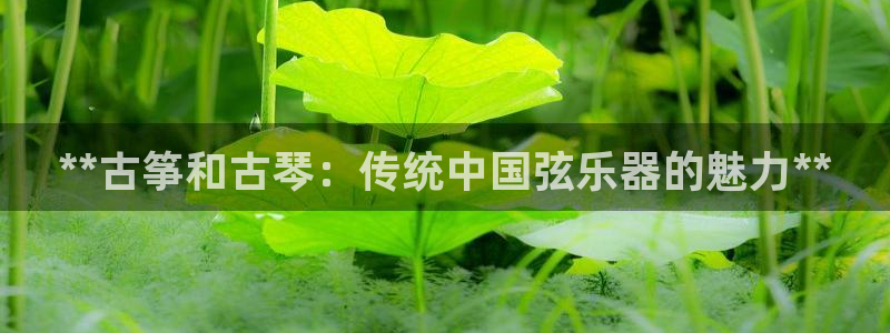 凯发app可信吗