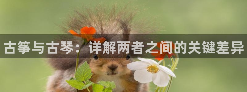 凯发k8娱乐旗舰