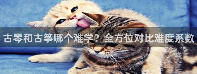 凯发国际是什么投资平台